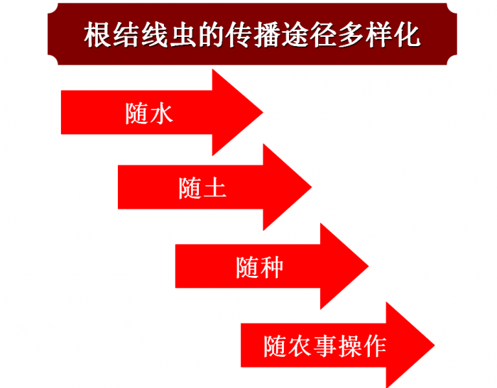 线虫最新药物研究与应用